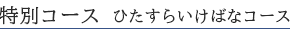 特別コース　ひたすらいけばなコース