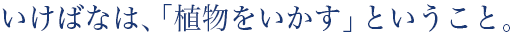 いけばなは、「植物を生かす」ということ。